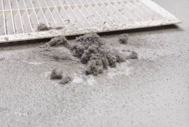 Best HVAC Duct Inspection Services  in Swartzville, PA