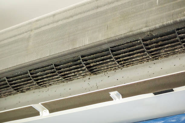 Best Affordable HVAC Duct Cleaning  in Swartzville, PA